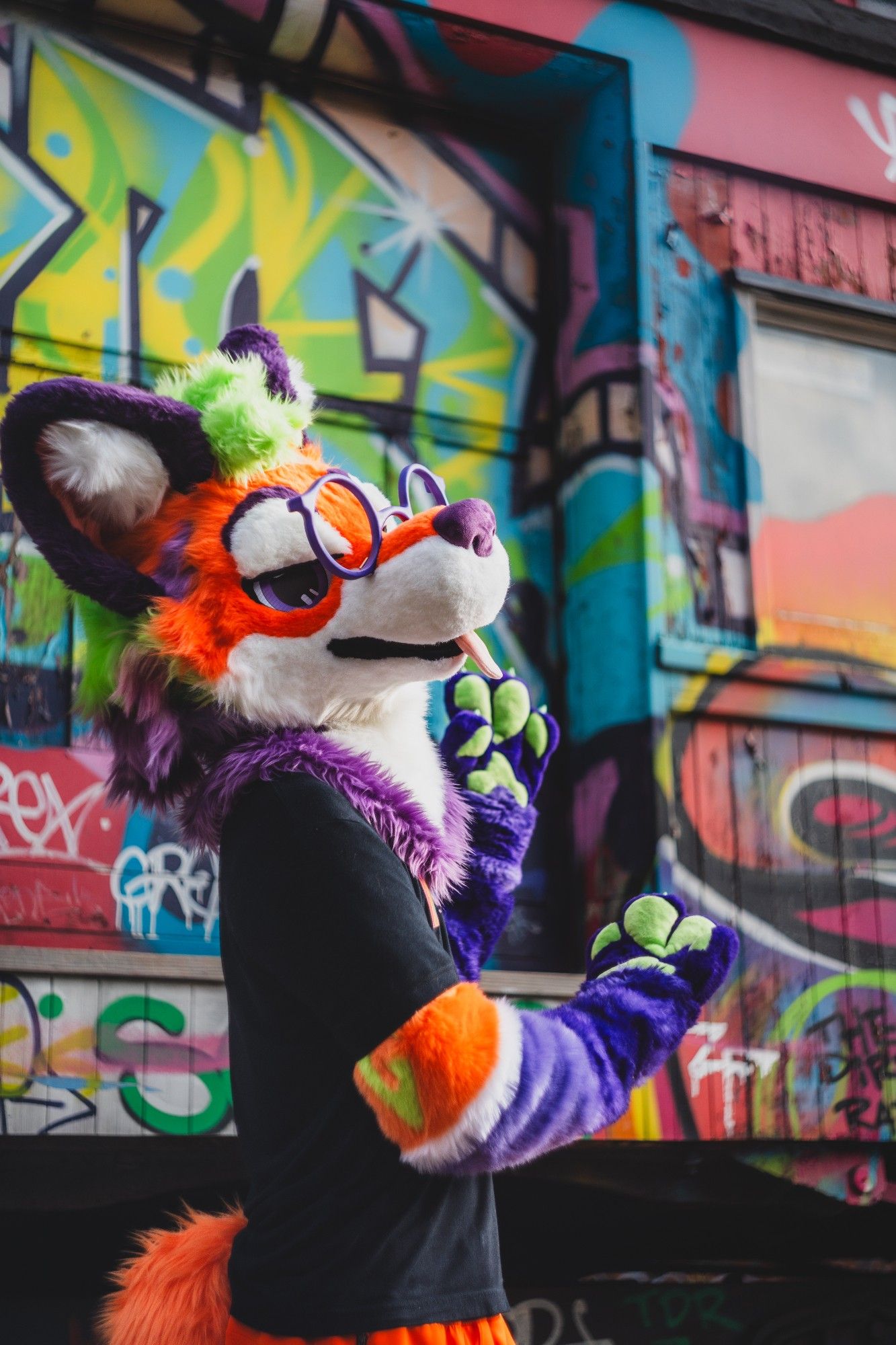 the side view of a vibrant maned wolf partial fursuiter with glasses standing near a graffitied caboose, making a gesture to present the art