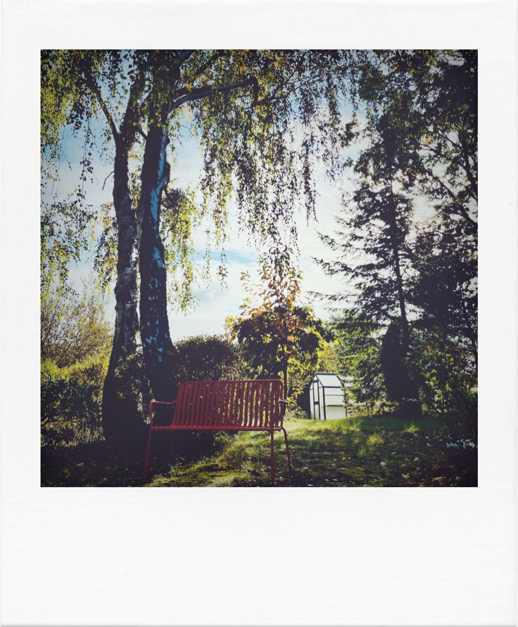 Blick in den herbstlich anmutenden Garten.