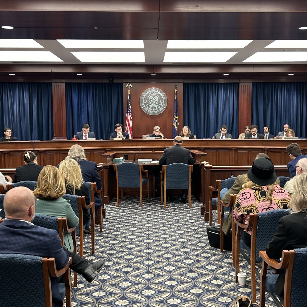Board members, staff and audience at a previous Board of State Canvassers meeting
