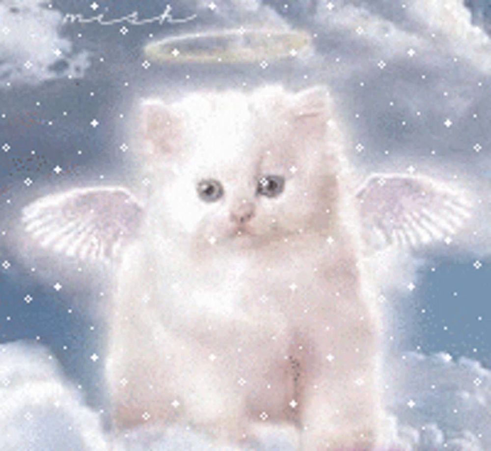 a white cat with angel wings and a halo around its head