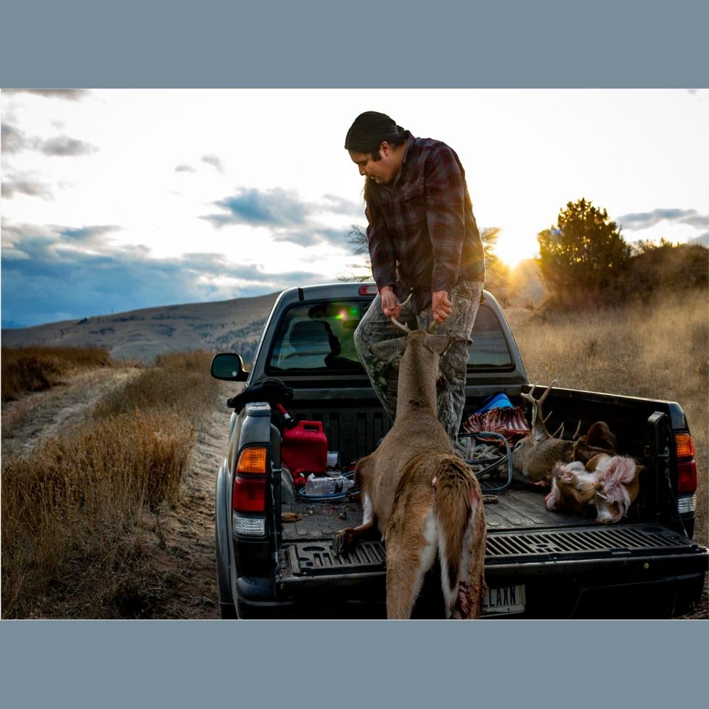 Person hauling their game from a hunt into the back of their truck