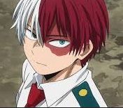 shoto todoroki, my hero academia