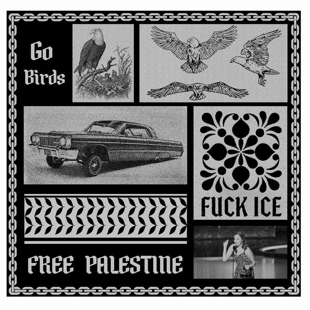 Most award speeches are not memorable. This one was. Actress/comedian Hannah Einbinder said, ‘Go Birds, Fuck ICE and Free Palestine’ after winning a 2025 Emmy for ‘Hacks.’ She voiced what many were thinking. We are tired of all the injustice in the world and we want change.

At first listen, I thought she was a birdwatcher (Go Birds), against ICE and into global solidarity. Later, I learned it was “Go Philadelphia Eagles” which is still kind of cool to combine with what else she said. I still illustrated it from the point of view of bird watching.