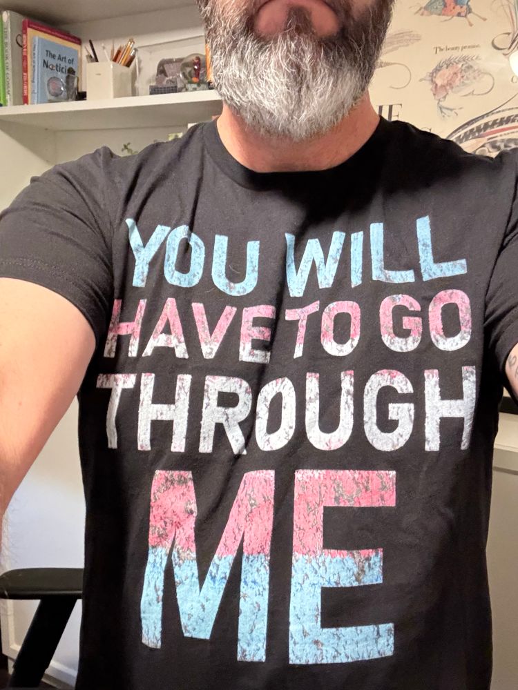 This is me (@writegud) wearing a black t-shirt that says “You will have to go through me” and teh letters are printed in the colors of the trans flag