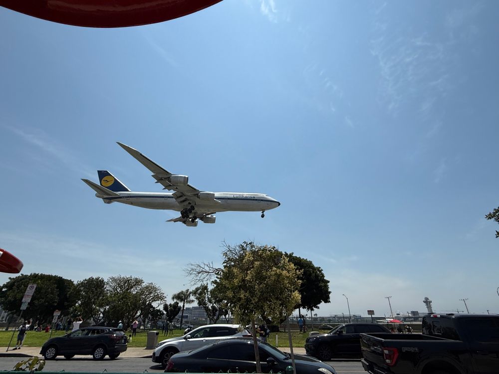 A Lufthansa Boeing 747-8 in retro livery landing at LAX, seen from the In-N-Out over the adjacent park.