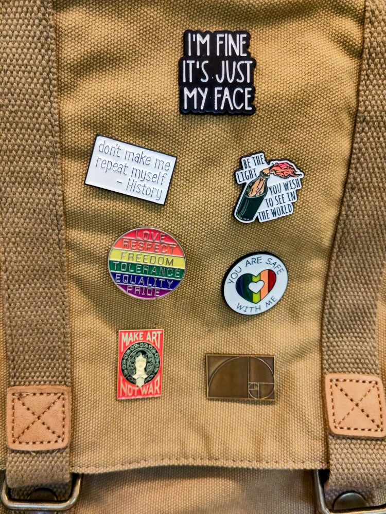 Collection of different Pins. For example: "I am fine. IT is Just my face". And "don't make me repeat myself! - History". And "You are Safe with me (Graphic Shows a Heart in Rainbow colours)" ...
 