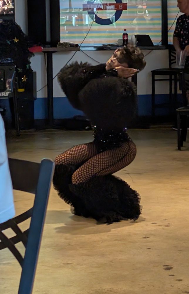 A dancer in a striking fishnet outfit performs energetically, captivating the audience with her movements.
