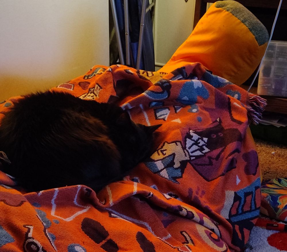 Magpie, a fluffy black cat, curled up on the banana bean bag with an ace attorney blanket draped over it. She's snuggling close to Edgeworth.