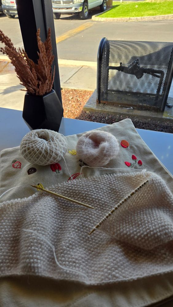 Beginning of back yoke of sweater in seed stitch