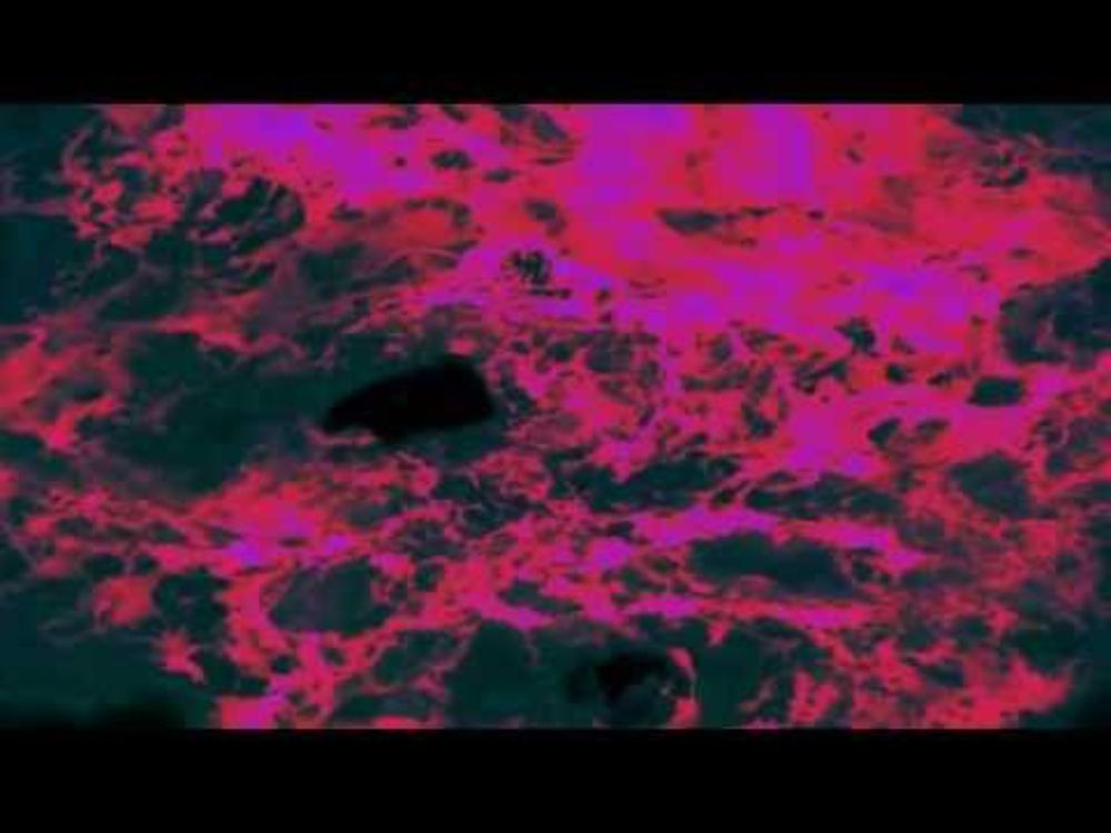 FOQL - MELIKA / POINT#01