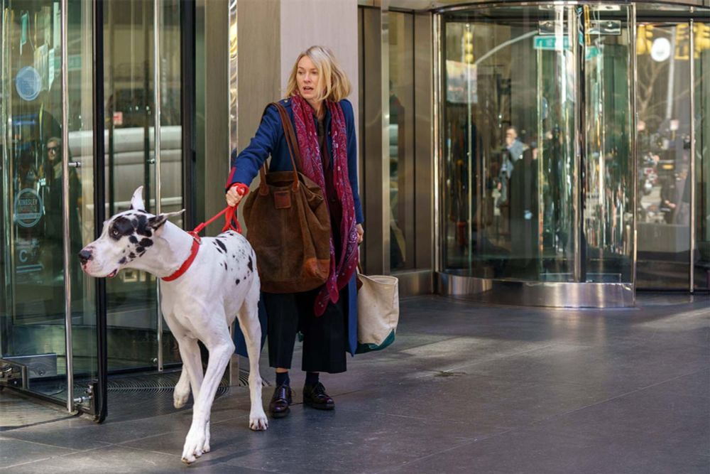 'The Friend' Review: Naomi Watts Shelters A Great Dane In This Bloated Drama [Telluride]