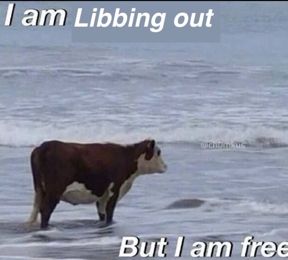 I am libbing out, but I am free.