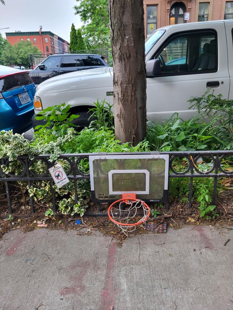 A "hang on the door" size basketball backboard and hoop, hung on the 16 tall fence around a Brooklyn tree pit. The (extremely dirty) net is brushing the sidewalk. 

