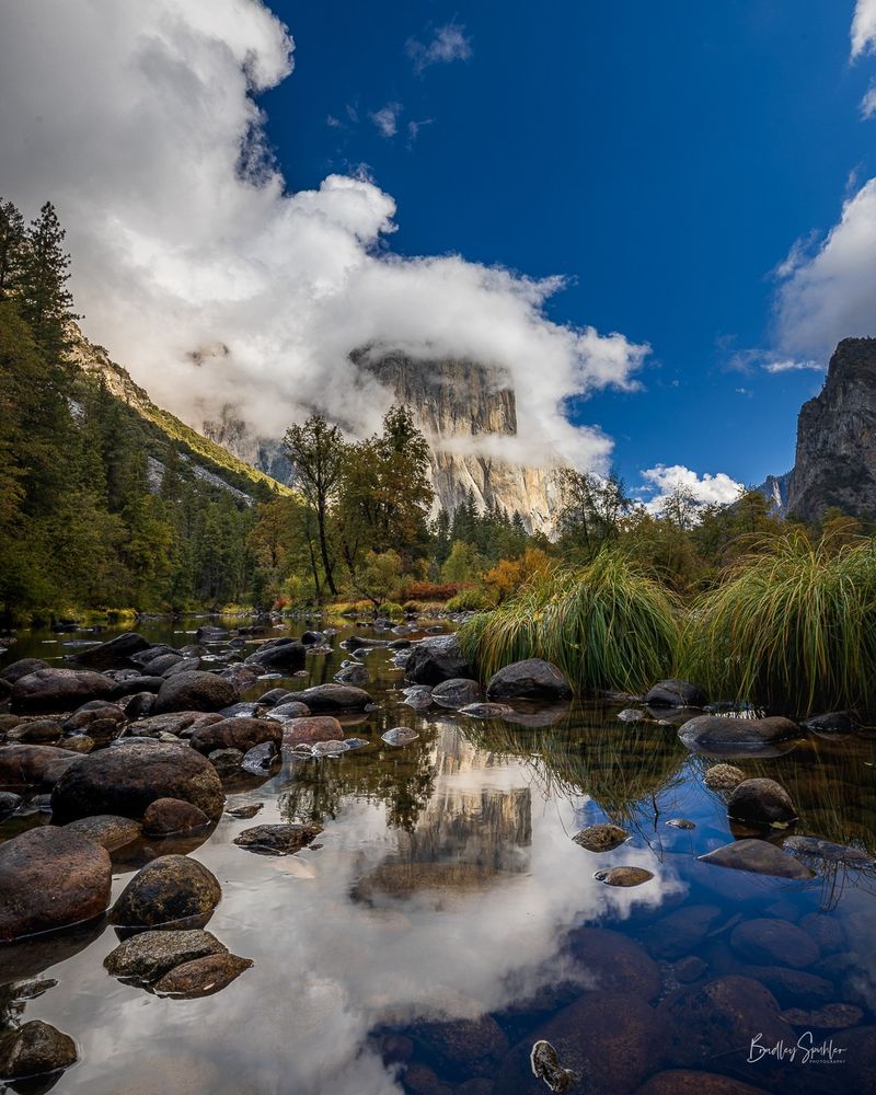 A stunning view of El Capitan in Yosemite National Park, partially shrouded by dramatic white clouds against a vibrant blue sky. The scene is mirrored in the calm waters of the Merced River, surrounded by smooth river rocks and lush green foliage, capturing the serenity of nature. The foreground features intricate reflections of rocks and grasses, adding depth to the image.
