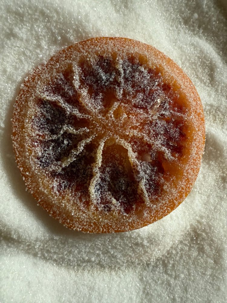 A blood orange slice covered in sugar 