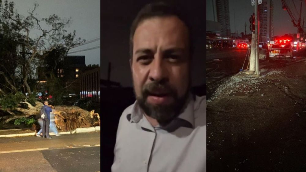 Temporal em SP: pessoa morre por queda de árvore no bairro de Boulos, que culpa Nunes pelo caos