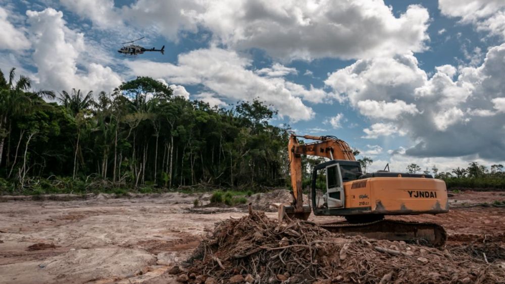 Desmatadores da Amazônia são condenados a reflorestar 150 hectares devastados