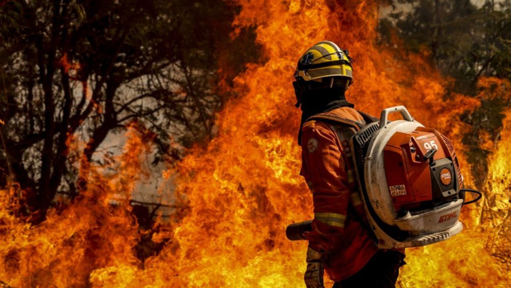 Pelo menos 221 pessoas já foram detidas por incêndios criminosos no país