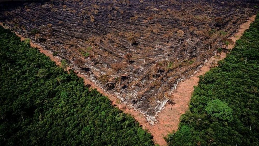 Pantanal: fogo provocado por ruralistas demorou cem dias para ser controlado e gera multa milionária