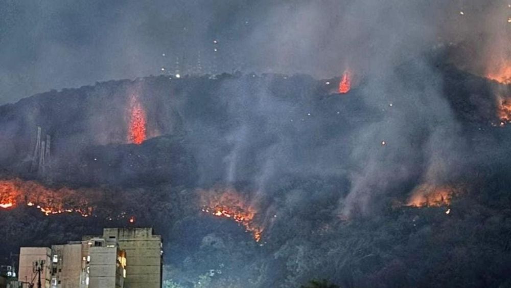 VÍDEOS: Área de floresta no Rio de Janeiro queima por mais de 14 horas