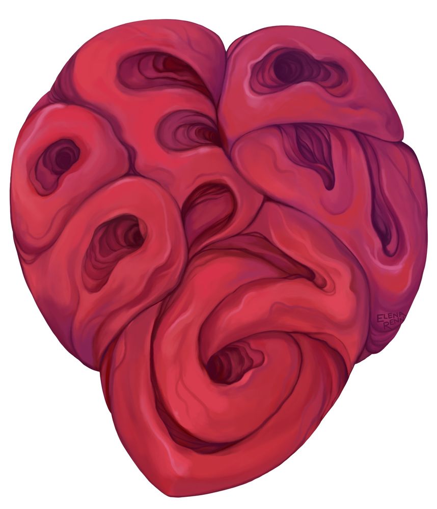 Digital painting of a heart that’s kind of realistic but not really because it manages to form the word “beloved” all squished up and weird. 