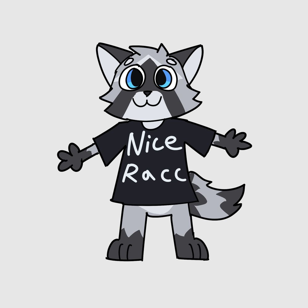 A grey raccoon named Frost wearing a black shirt that says "Nice Racc"