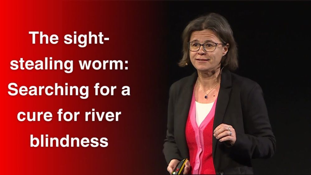 The sight-stealing worm: Searching for a cure for river blindness | Sabine Specht | TEDxGVAGrad