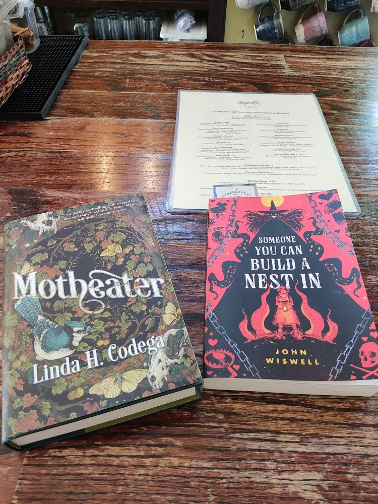 The books Motheater by Lin Codega and Someone You Can Build A Nest In by John WisWell are on a wooden bartop
