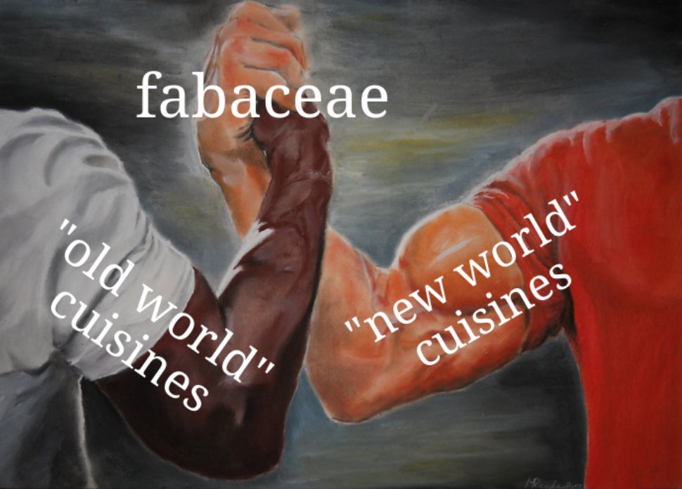 The meme that comes from that still in Predator where the two very buff men Arnold Schwarzenegger and Carl Weathers do a cool handshake.  Weathers' arm is labeled "'old world' cuisines". Schwarzenegger's arm is labeled "'new world' cuisines".  In the middle, depicting the thing the two are in agreement on, is the word "fabaceae".