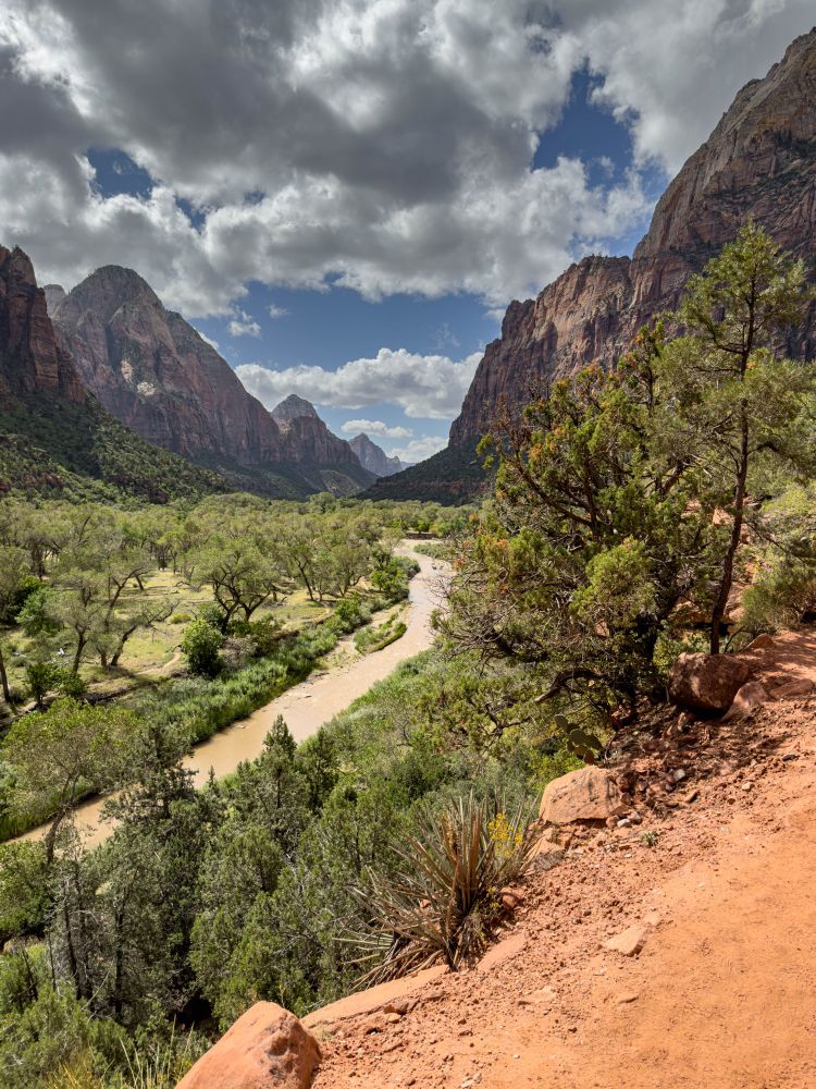 Looking across a meadow framed by two mountains in Zion NP
