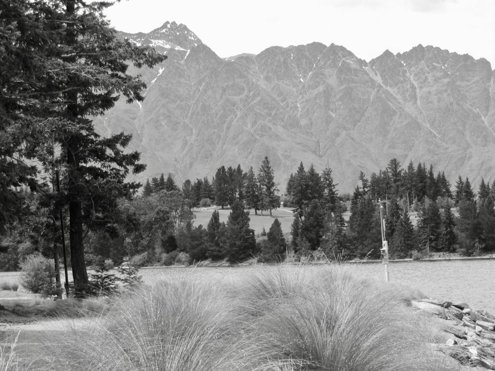 B&W pic of a meadow with a circle of pine trees. In the back, a steep mountain with flecks of snow 

Queenstown, New Zealand maybe 