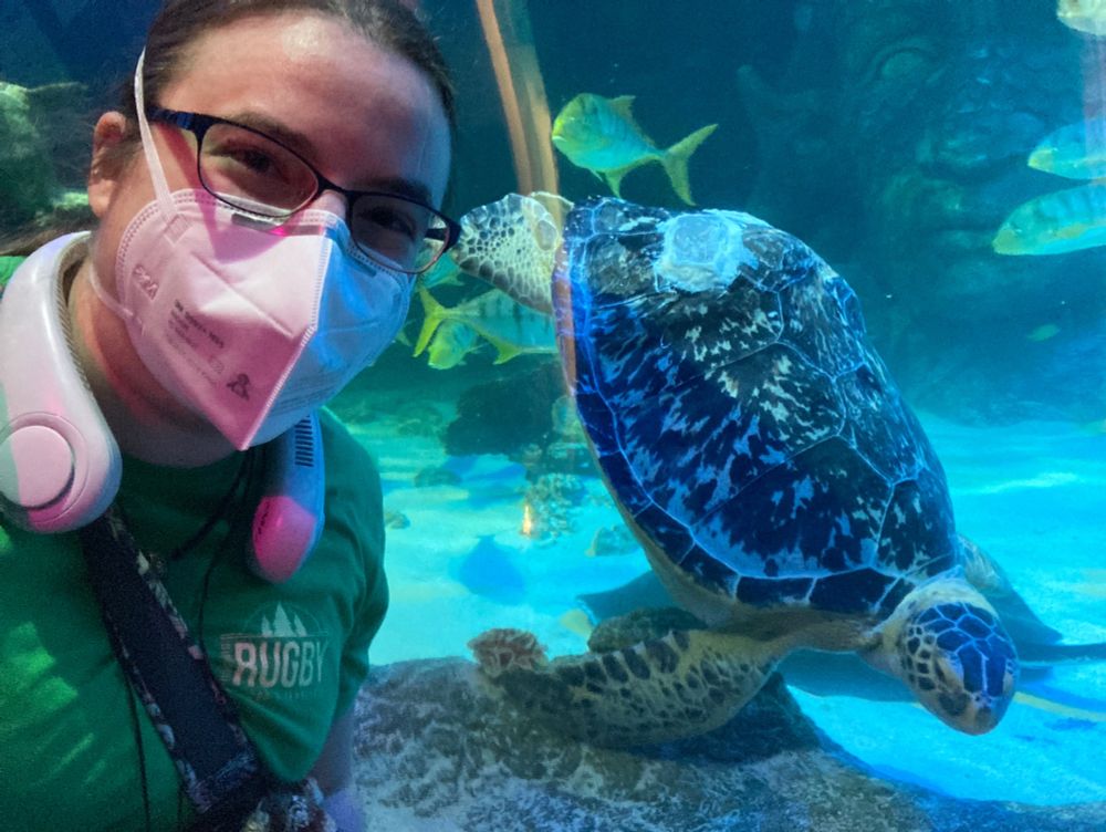 Sea turtle selfie! I’m unremarkable with my mask and my portable fan, but Benson the sea turtle has a floating bum because he got hit by a boat and it’s messed up his mobility and buoyancy. He’s got some fun patches on his back shell to try and help weight him down, but his derrière just wants to float. Anyways, he’s a photogenic best boy, and he  came down to the bottom of the tank and sat by me for a few minutes. Who’s the best sea turtle?! 🥰 What a lad!