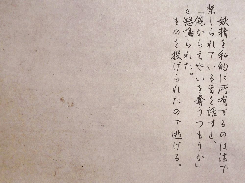 　妖精を私的に所有するのは法で禁じられている旨を話すと、「俺からえやいを奪うつもりか」と怒鳴られた。
　ものを投げられたので逃げる。