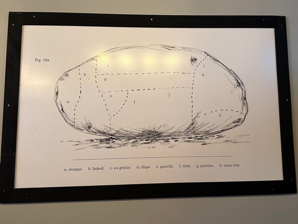 It’s a diagram of a potato, with markings for each type of food you can make! Similar to a drawing of a cow with different cuts.