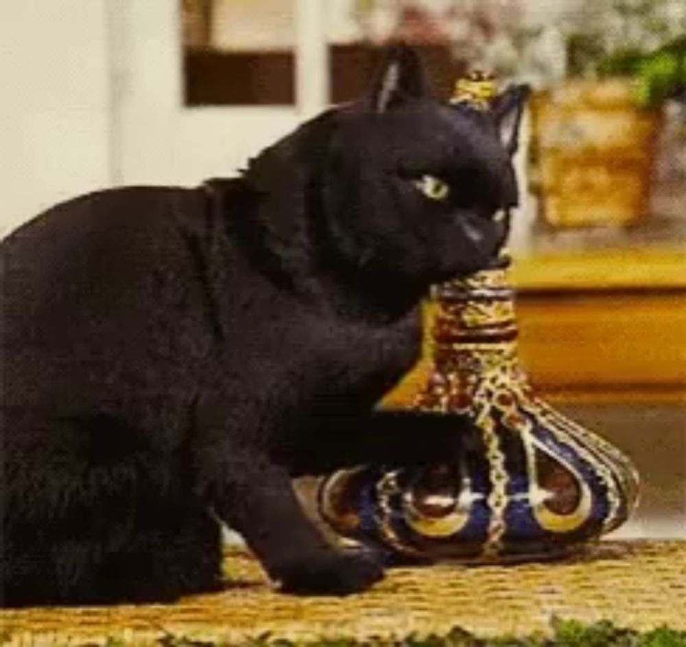 a black cat is playing with a vase that has a crown on it