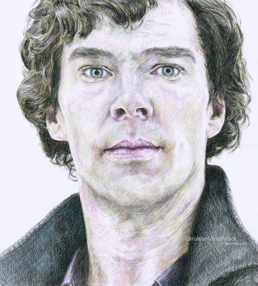 Close up colour pencil drawing of Benedict Cumberbatch as Sherlock Holmes. Wild hatching style, portrait format