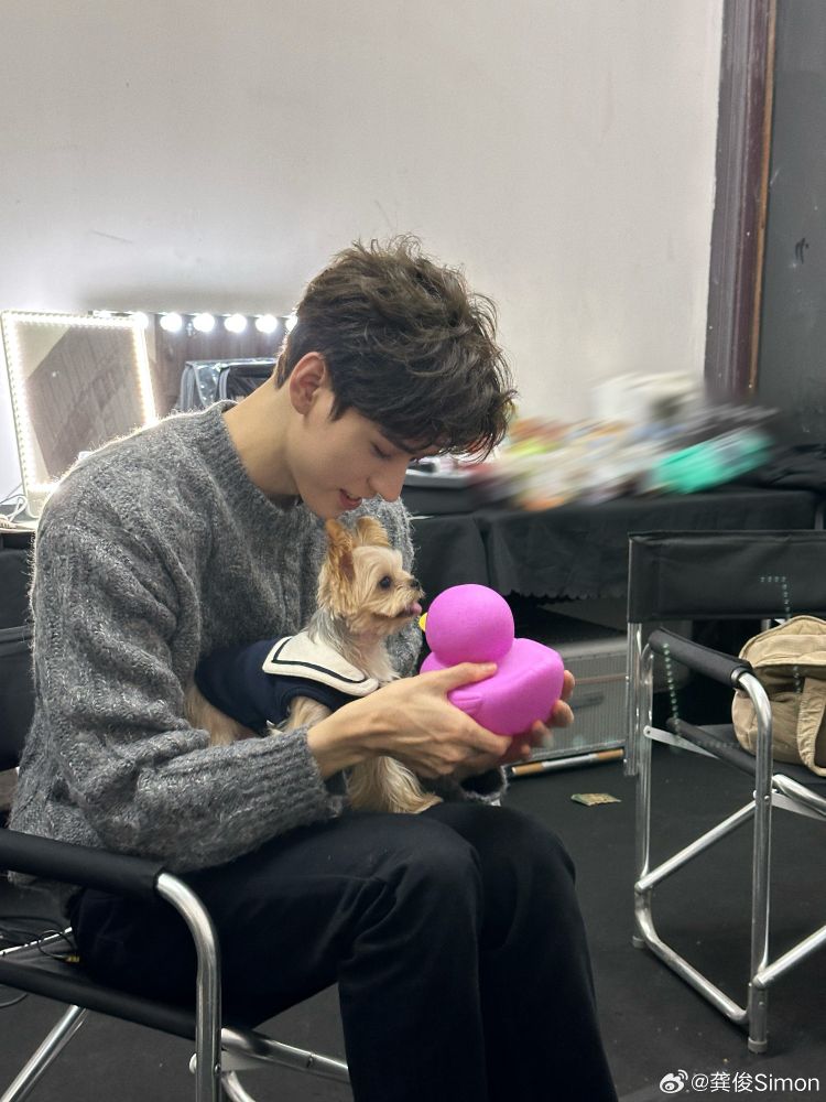 Chinese actor Gong Jun with a York terrier puppy