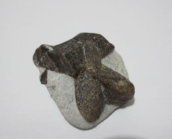 Fairy Cross in a mica schist matrix 