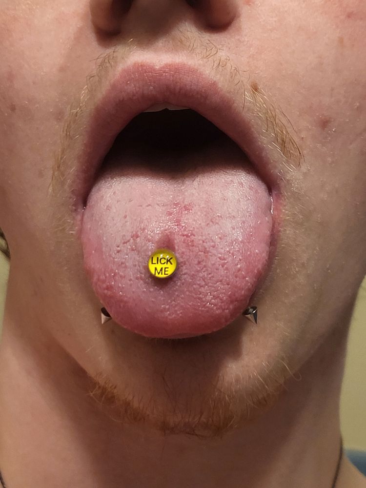 A close shot of Blue from neck to nose. He has a yellow tongue piercing that says "lick me"