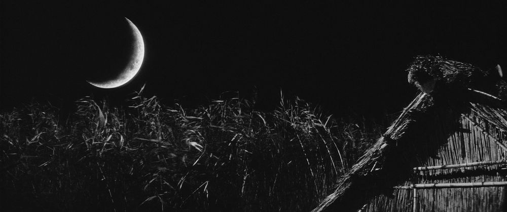 Crescent moon above a field of grass.