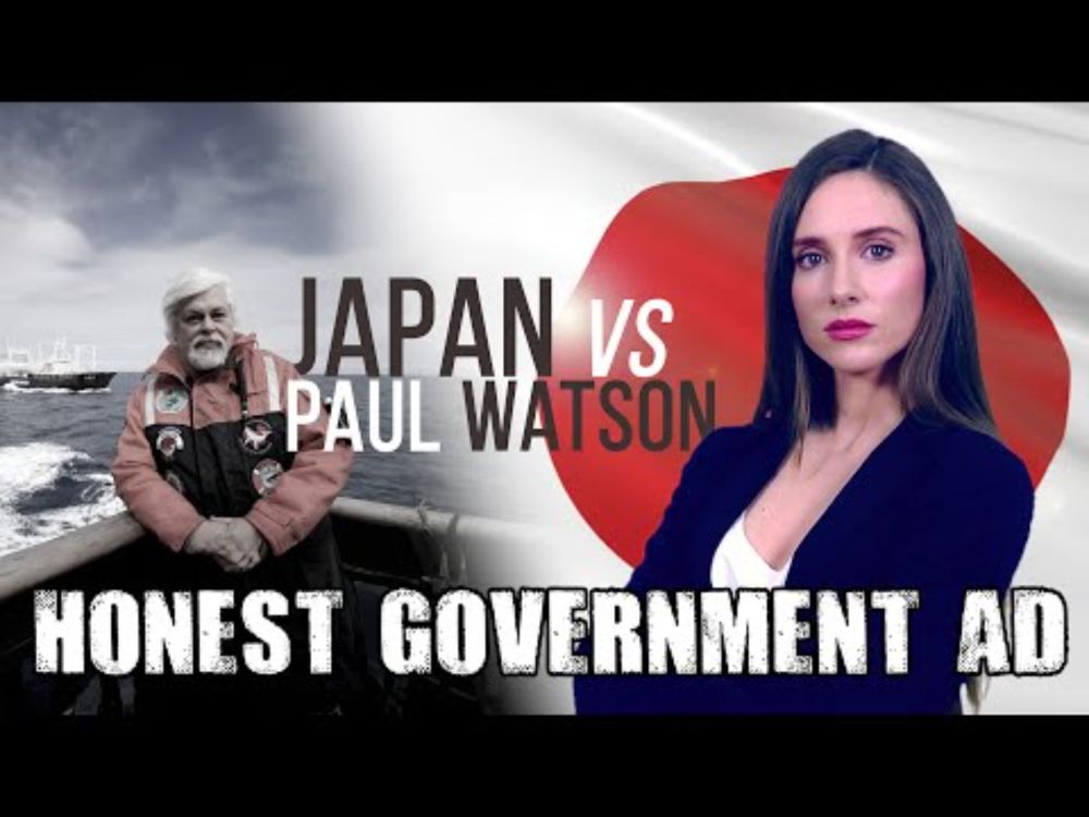 Honest Government Ad | Japan vs Paul Watson 🐋🇯🇵