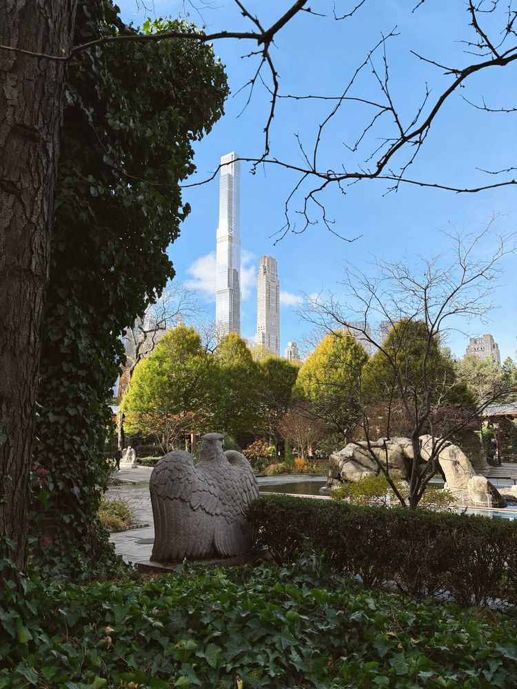 view of rocky sea lion enclosure at the Central Park zoo with greenery in the foreground and skyscrapers in the background 