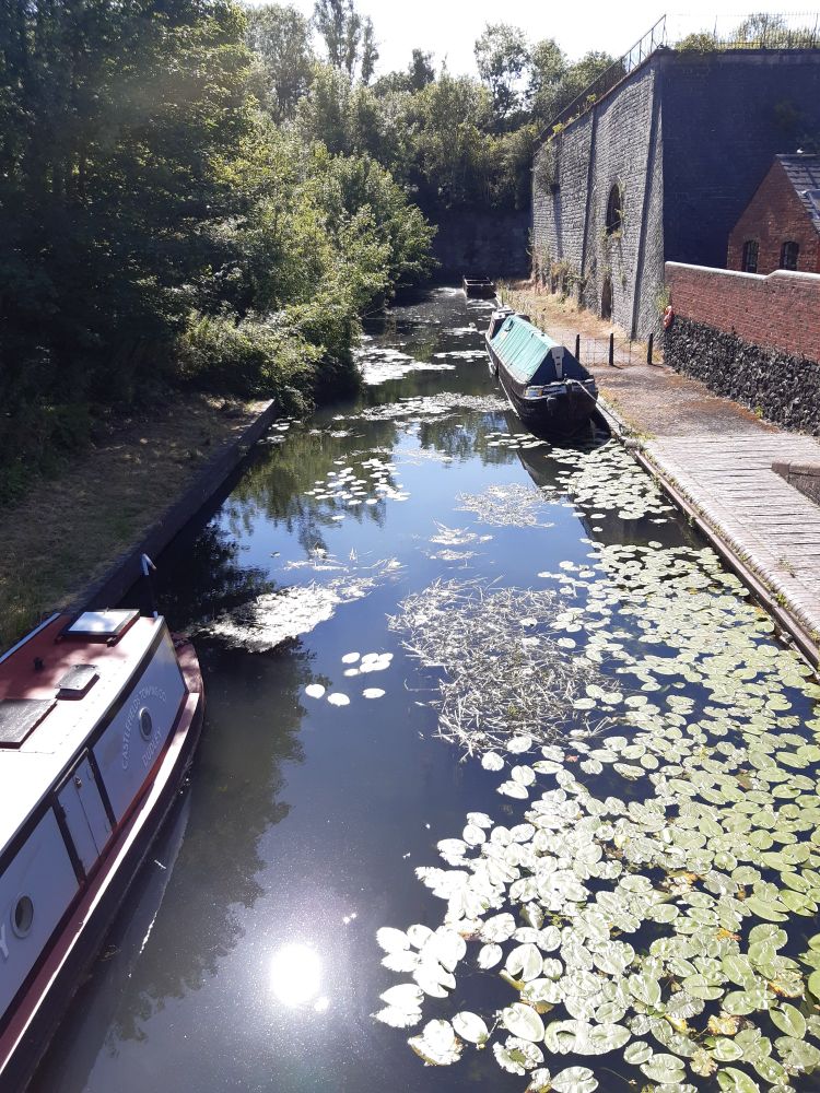 Canal with lilypads and two narrow boats