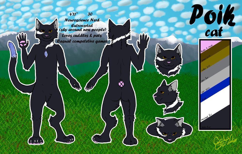 A reference sheet of Poik, a tuxedo house cat whose markings are inspired by a question mark. Highlights of blue appear on the chest dot and tail