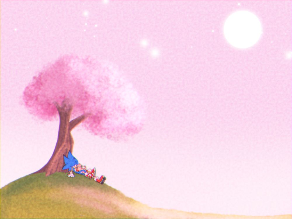Sonic and Amy sitting under a cherry blossom tree under a pink night sky.
