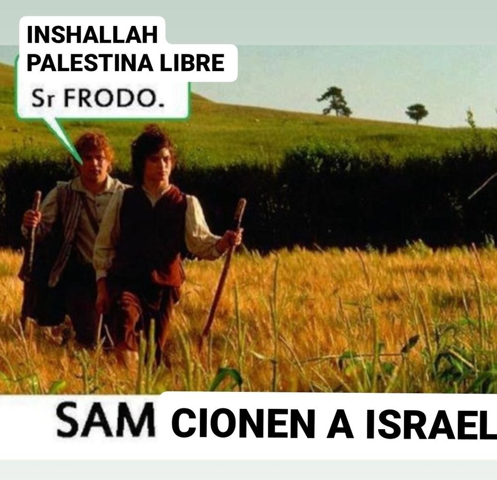Meme de Sam Va Lentín. Sam dice "Insallah Palestina libre Sr. Frodo", y el título pone "Sam cionen a Israel".