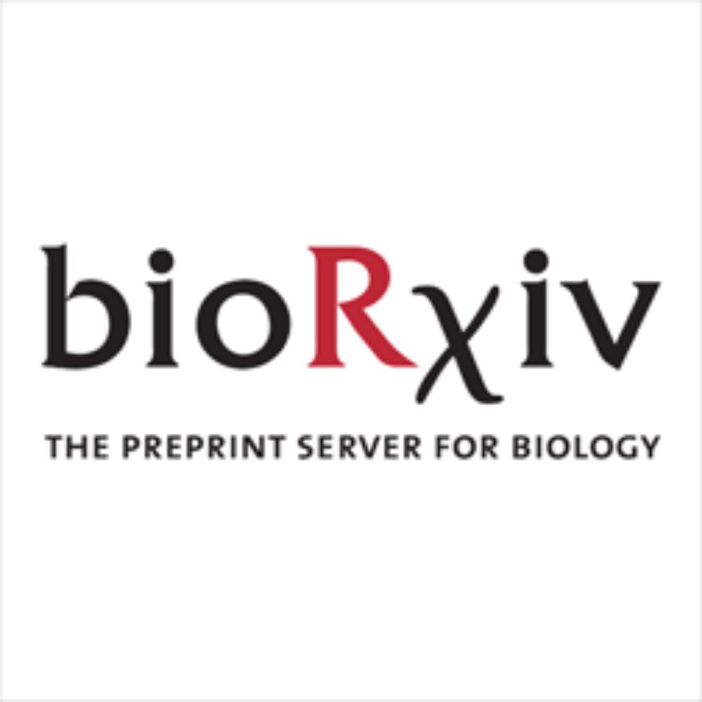 Tunturi virus isolates and metagenome-assembled viral genomes provide insights into the virome of Acidobacteriota in Arctic tundra soils