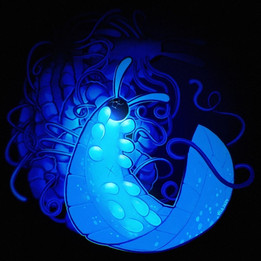 A blue creature that looks like a cross between a velvet worm and a planaria curls on its back, facing the viewer. Its face is taken up by a dark, round cracked screen from which emanates a soft blue glow. 
Behind (and connected to) it is a mess of robotic wires and tubes in which two similar creatures obscured by darkness are entangled.