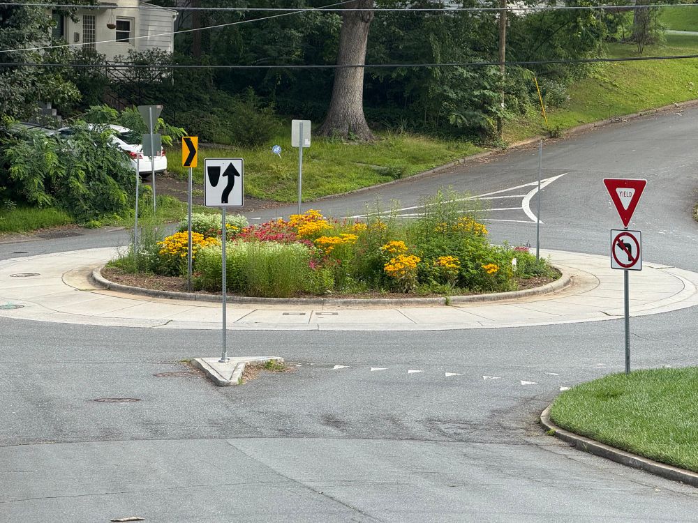 A photo of a native garden in a traffic circle in a residential neighborhood