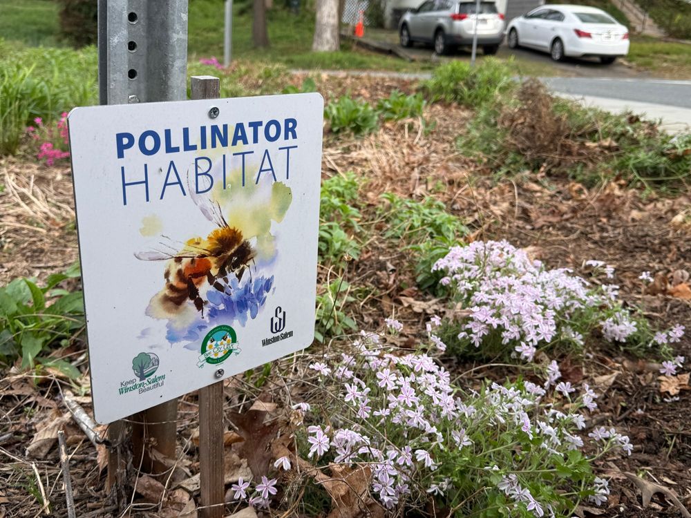 A sign in a garden that reads: pollinator habitat 